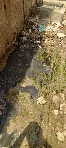20250410_125448