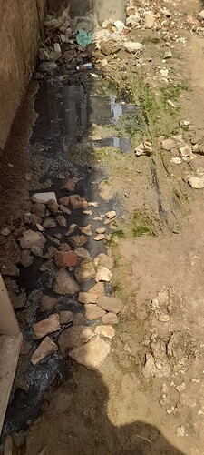 20250410_125436