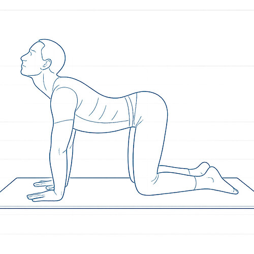 A line drawing shows a person on all fours on a yoga mat in the cow pose. (Captioned by AI)